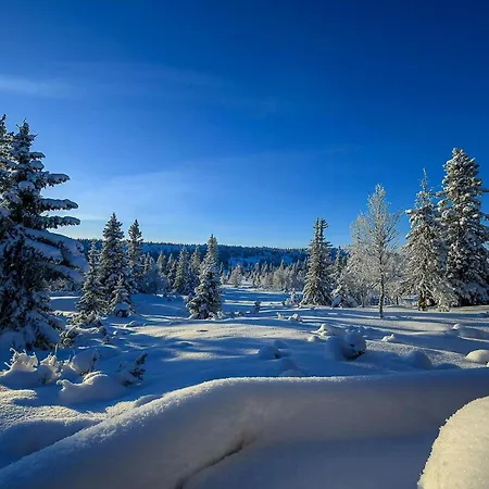 With Sauna Near Trails In Holiday home Sjusjoen